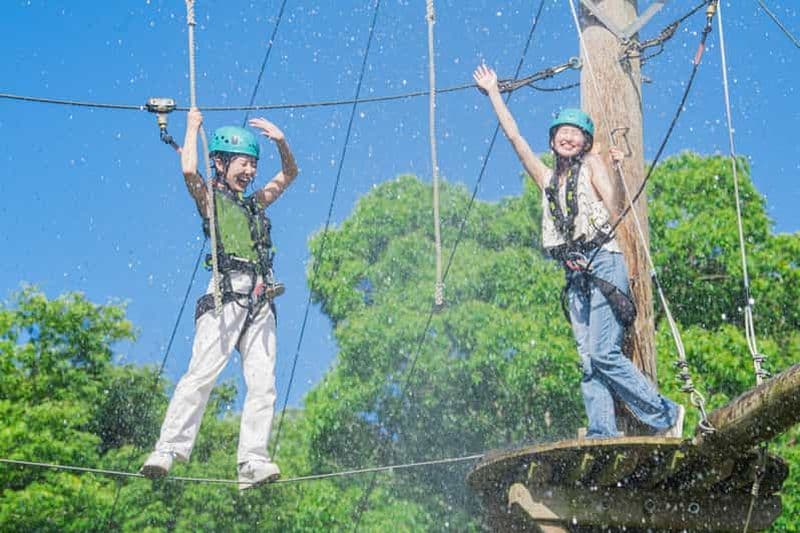 Billet Kyoto : Crayon Shin-chan à Nijigen no Mori (entrée et transfert)