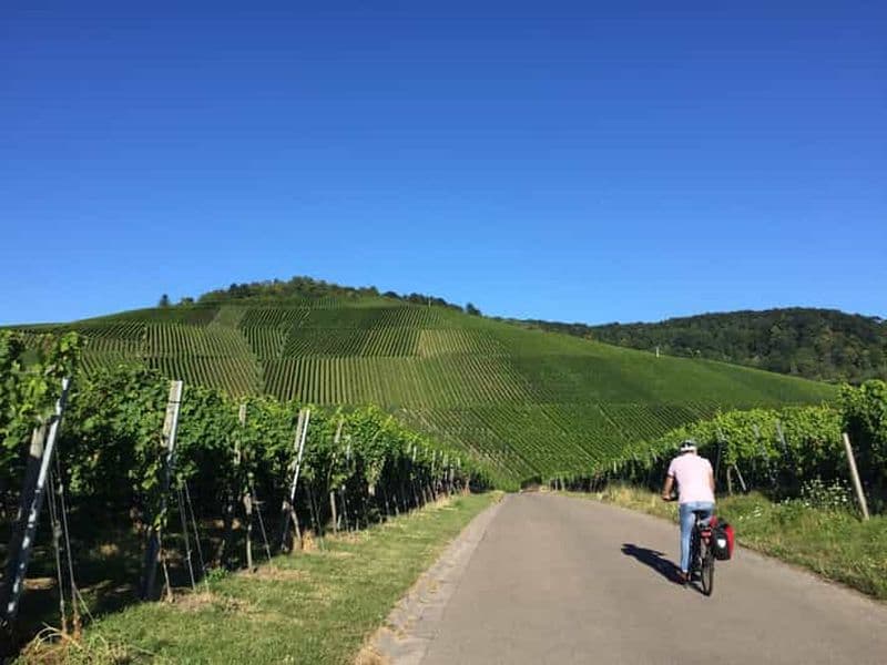 Stuttgart : visite du vignoble en vélo électrique, dégustation comprise