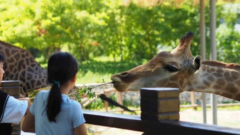 Billet Excursion privée en famille : zoo de Pistoia et Pise
