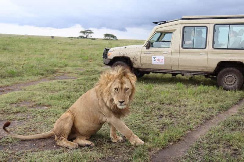 Billet Camping de groupe de 3 jours : Tarangire, lac Manyara, cratère du Ngorongoro