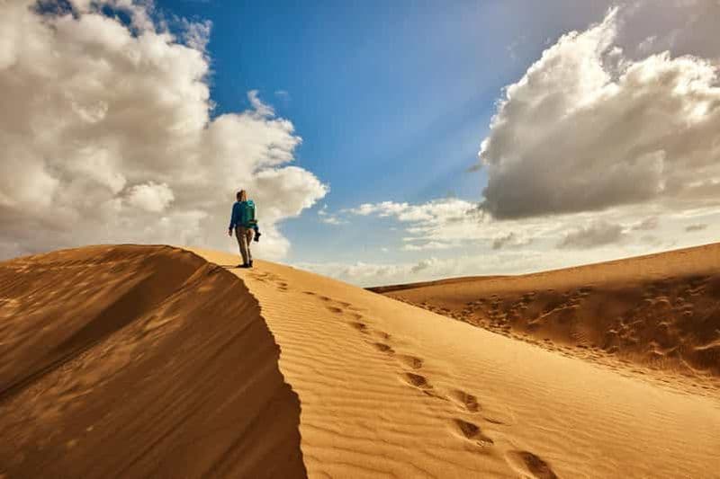 Billet Depuis Agadir/Taghazout : Dunes de sable du Sahara avec transfert