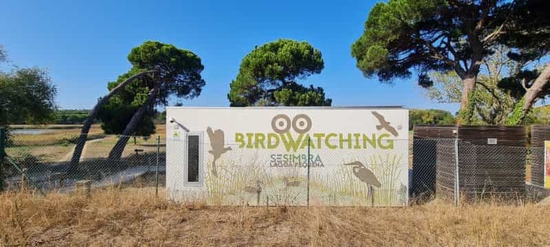 Sesimbra: Birdwatching Experience with Local Delights