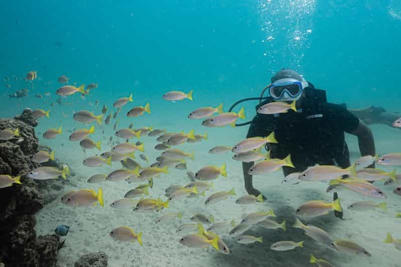 Billet Phuket : plongée sous-marine pour débutants (plongée sur la plage de Kata)