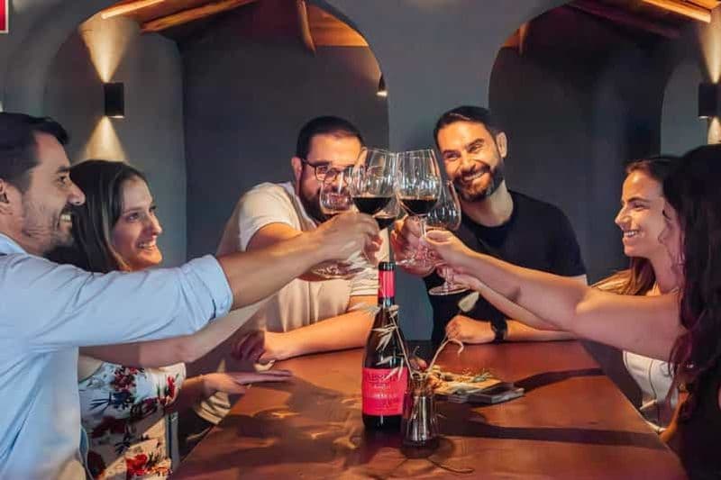 Algarve : Visite d'un vignoble et dégustation de vins de qualité supérieure à Silves