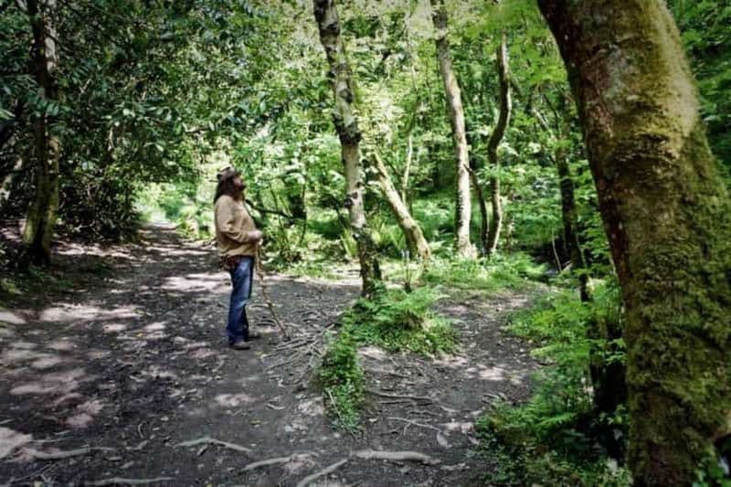 Billet Au départ de Glastonbury : Circuit de 2 jours à Tintagel, Boscastle et Dartmoor
