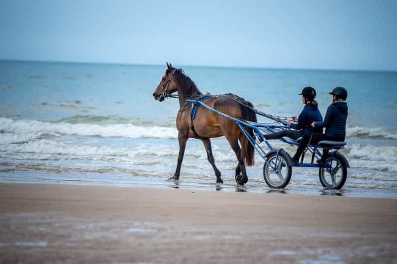 Billet Omaha Beach : Baptême de Sulky sur la plage