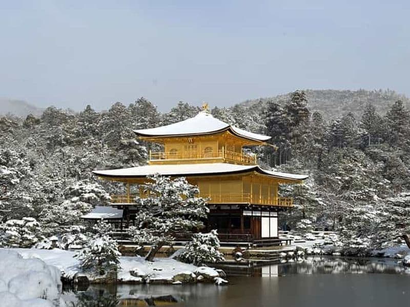 Billet Kyoto : visite privée du temple Kinkaku-ji et cérémonie du thé