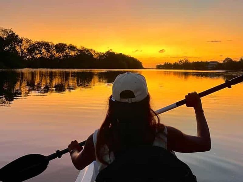 Visite guidée en kayak au coucher du soleil