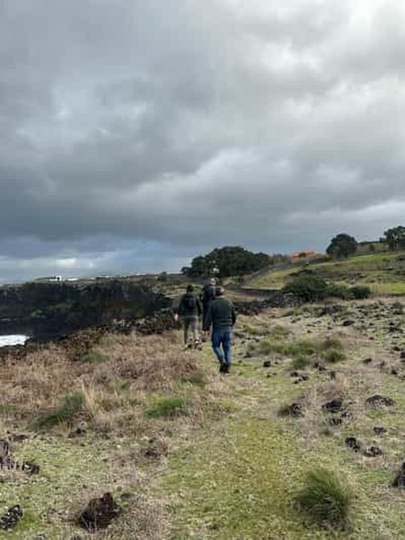 Billet Chasse à la baleine et tradition : itinéraire culturel de Capelas et Fenais da Luz