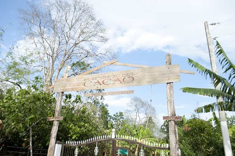 République dominicaine : Visite de 3 heures pour les amateurs de chocolat