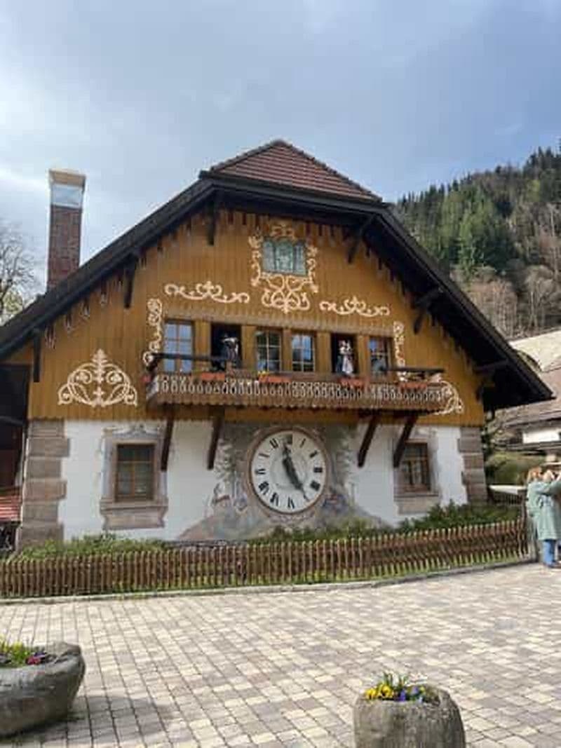 Billet Bâle : Forêt-Noire, cascade et montagne, lacs - Visite privée