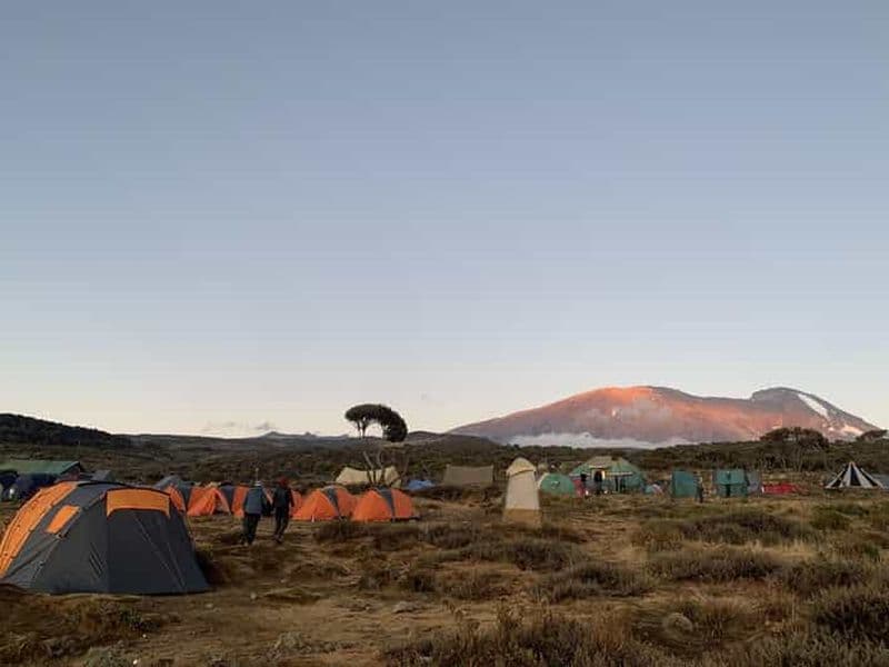 Billet Conquérez le Kilimandjaro en 6 jours – Aventure sur l'itinéraire Machame