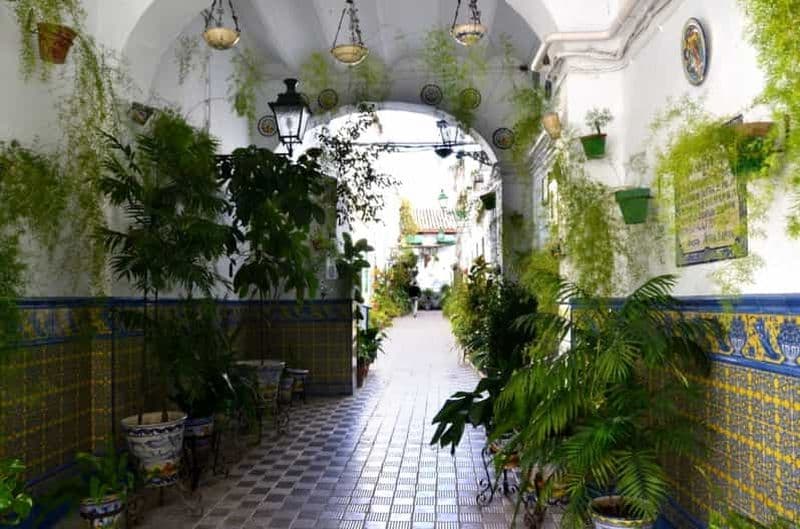 Billet Séville : Visite à pied hors des sentiers battus et du marché