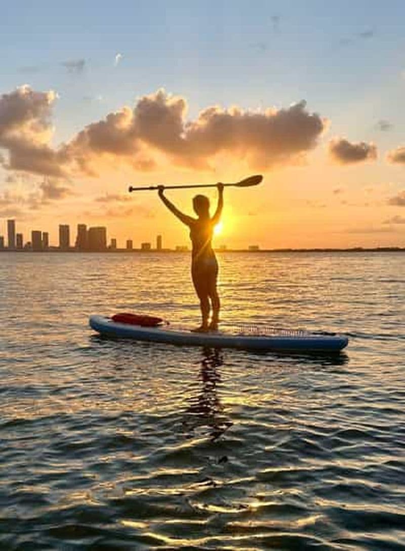 Billet Miami : Excursion de 2 heures en paddle board à Monument et Star Island