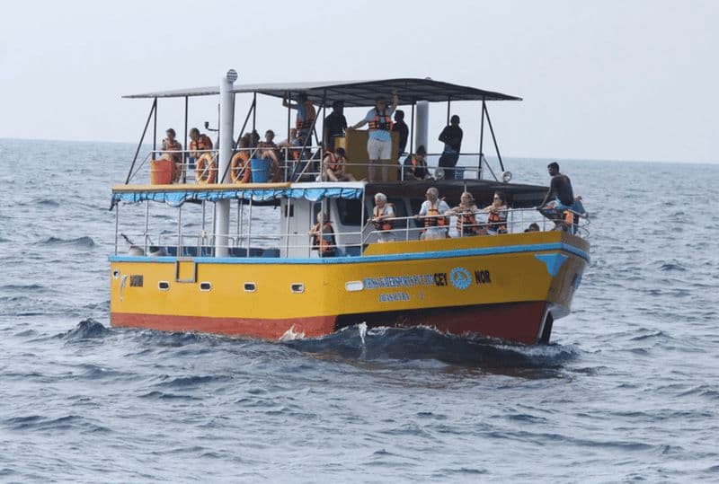 Tour en bateau tout compris pour l'observation des baleines et des dauphins à Mirissa