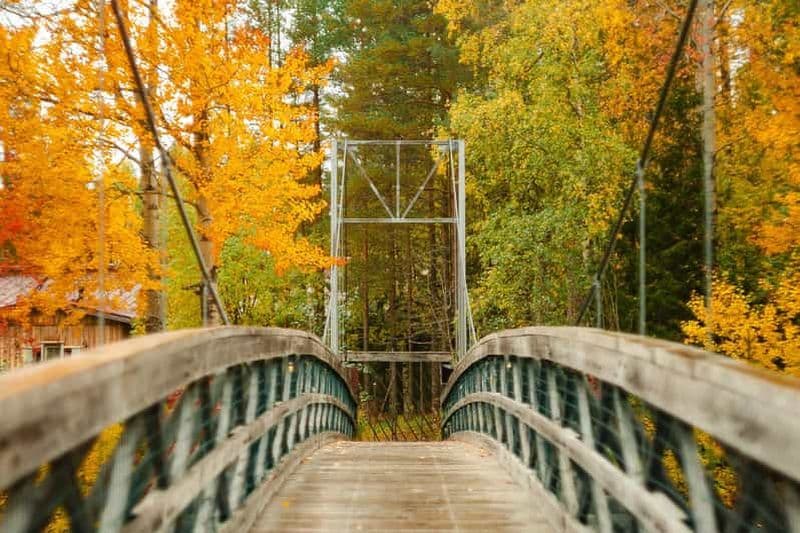 Billet Rovaniemi : randonnée dans la forêt du cercle arctique sur le sentier Vaattunkiköngäs