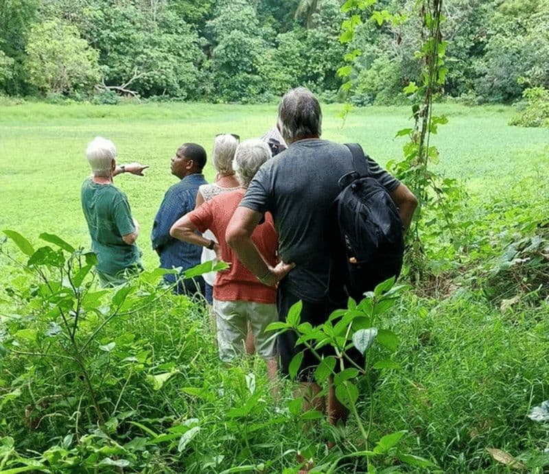 Billet Île de Pemba : visite guidée du village de Makangale