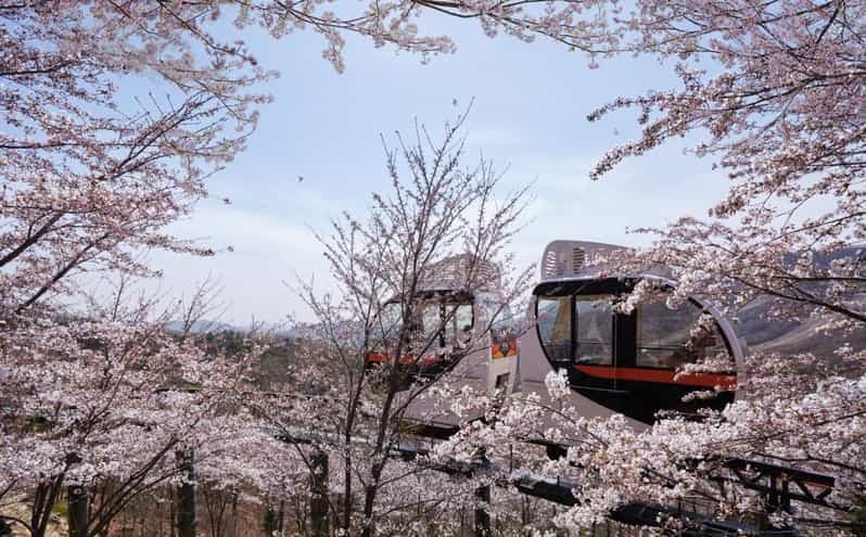 Billet Séoul : Forêt de Hwadam, Namhansanseong et village folklorique coréen