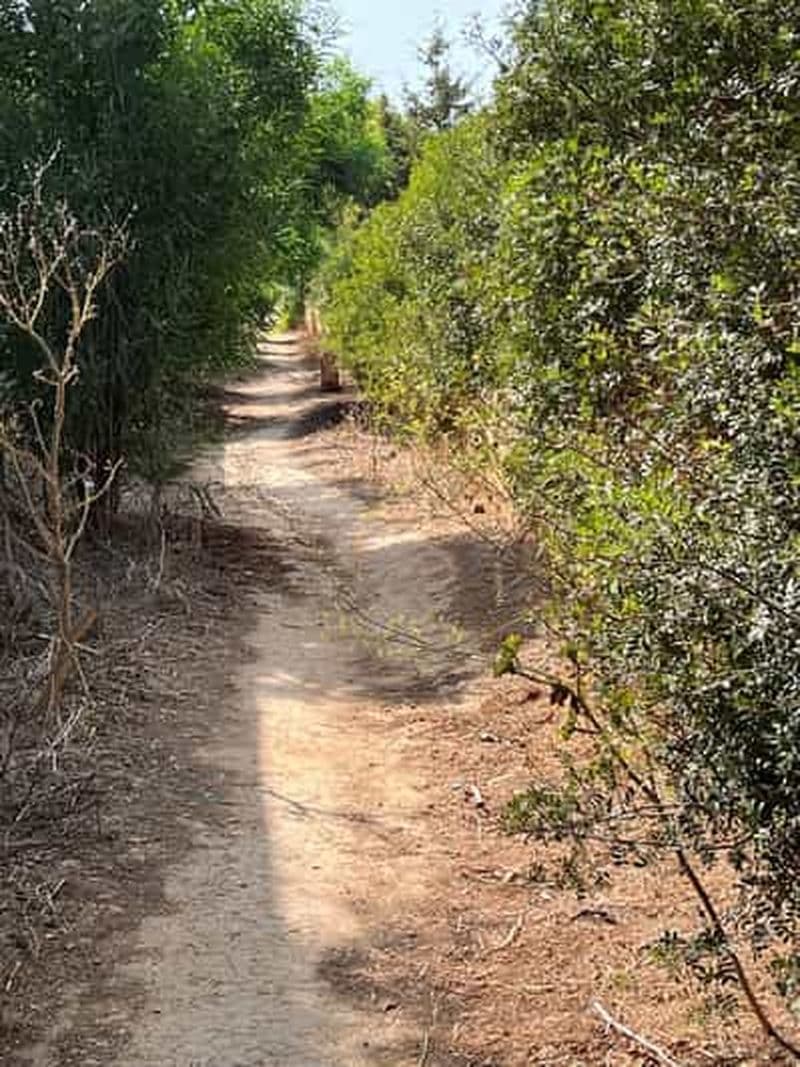 Malte, Parc naturel Il-Majjistral : Randonnée et yoga en plein air