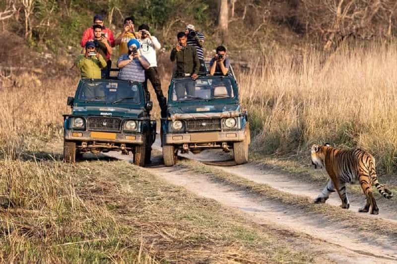 Jaipur : Safari d'une journée au parc national de Sariska