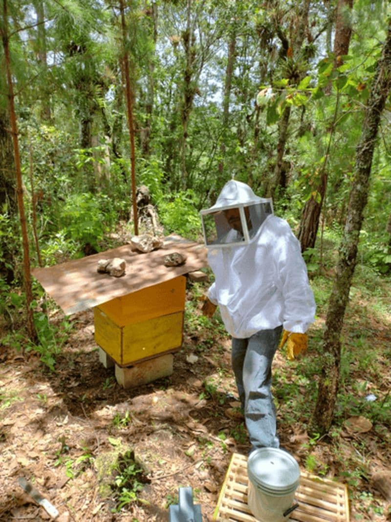 Billet San Cristobal : Aventure Huixtan avec activités traditionnelles
