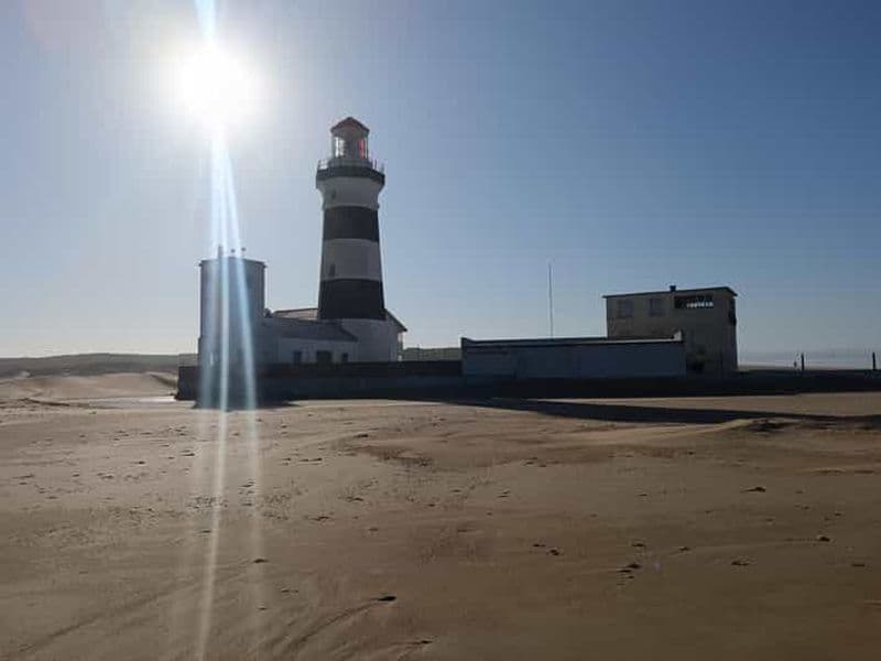 Billet Gqeberha : combinaison parc national Addo Elephant et visite de la côte