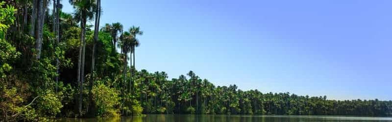 Tambopata : Lac Sandoval et safari aux Caïmans 2 jours
