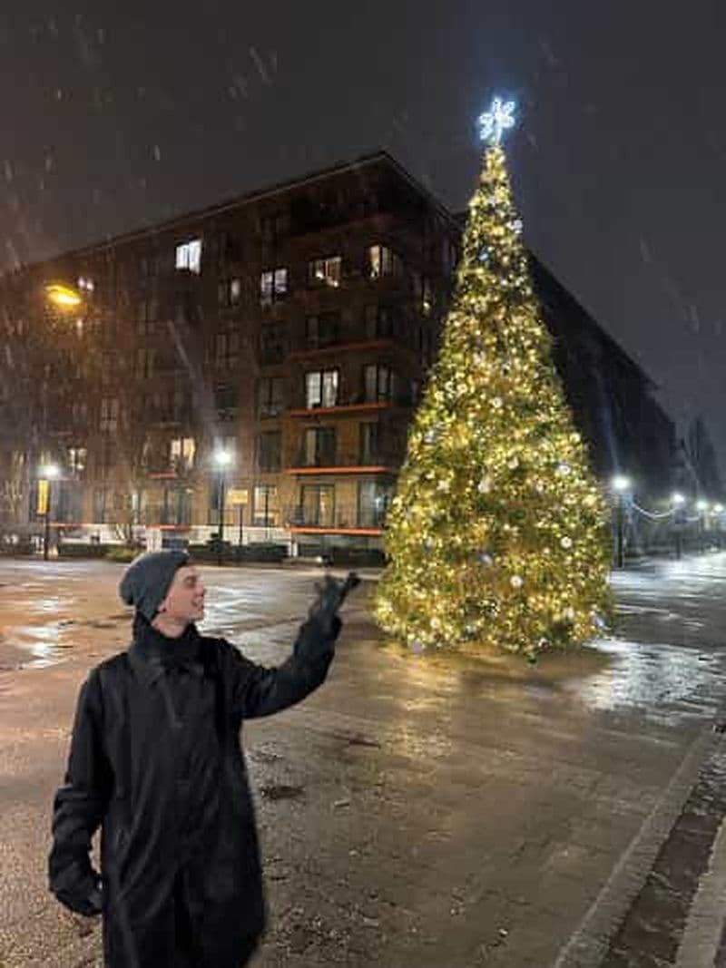 Billet Londres : visite à pied des illuminations et des marchés de Noël