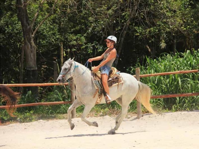 Billet Tulum : Equitation dans la jungle avec transferts et déjeuner