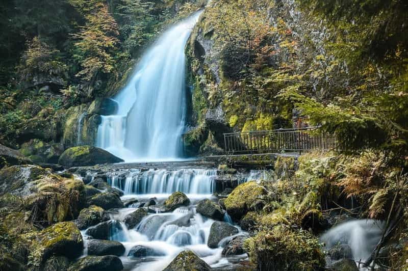 Billet Excursion privée d'une journée : Francfort vers la Forêt-Noire et Baden-Baden