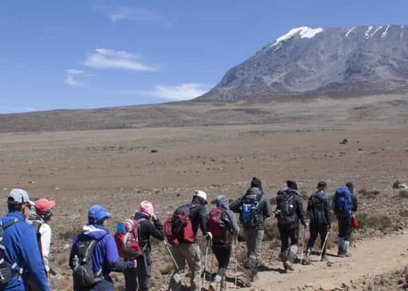 Billet Arusha : Randonnée guidée de 7 jours sur l'itinéraire Machame du Kilimandjaro