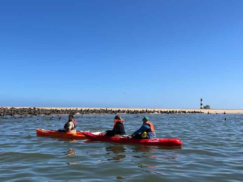 Walvis Bay : Visite d'une jounée en kayak et au port de Sandwich