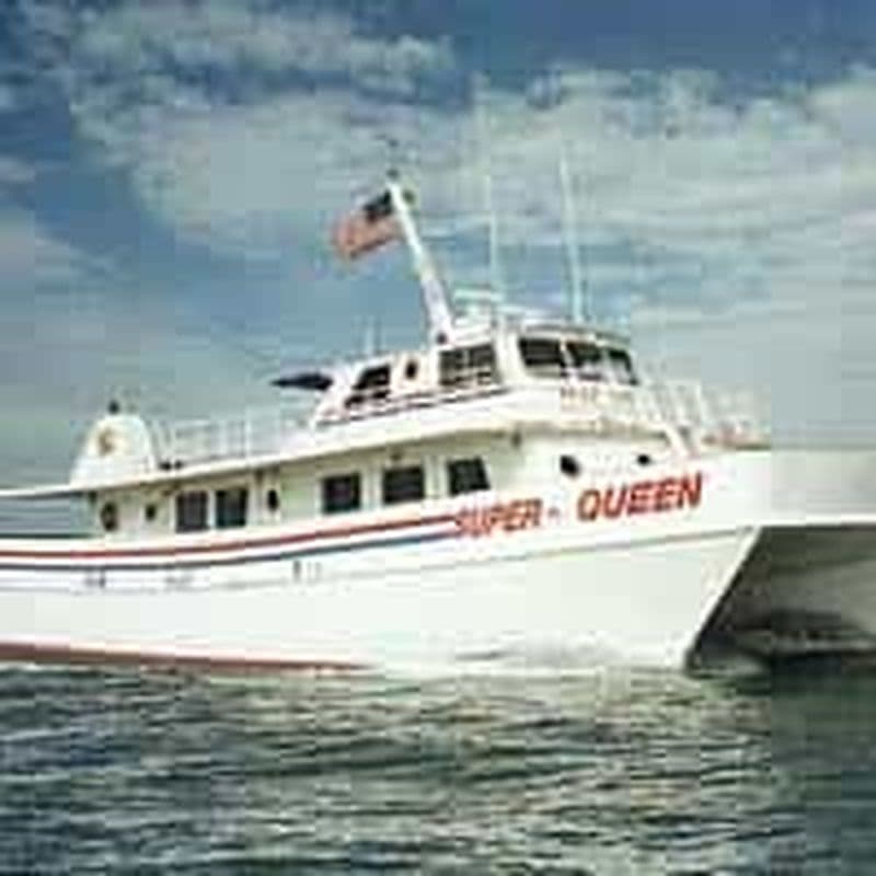 Depuis Orlando : Excursion d'une journée à Clearwater avec pêche en haute mer