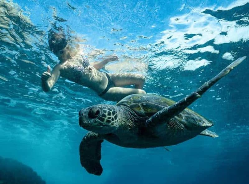 Byron Bay : Excursion de plongée en apnée à Julian Rocks, Nguthungulli