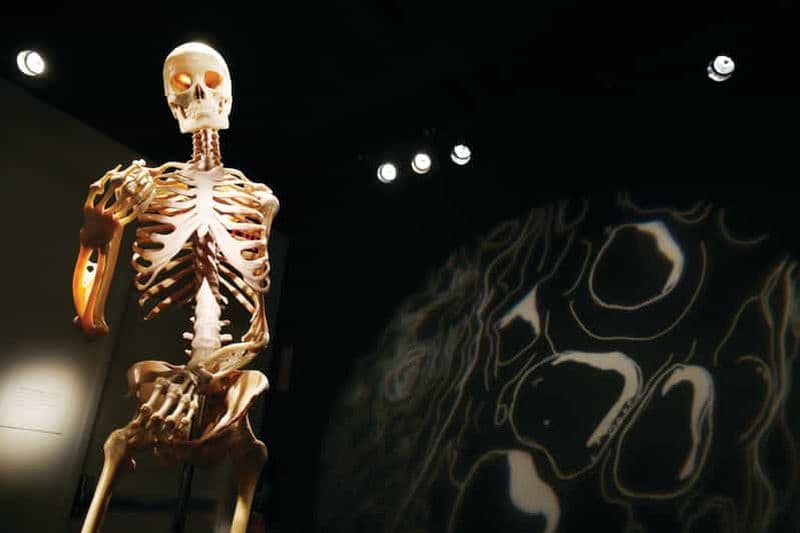 Billet Las Vegas : BODIES | L'exposition au Luxor