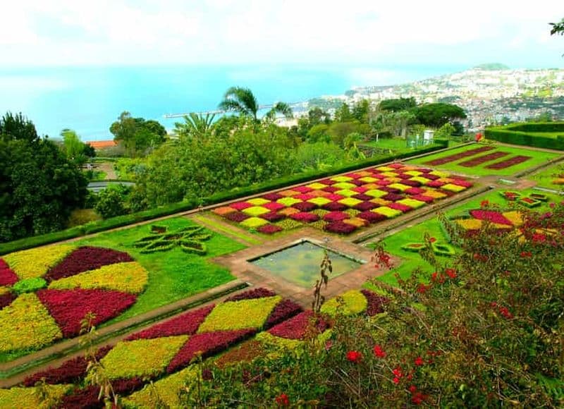 Funchal : Visite en Tuk-Tuk du Jardin Botanique de Madère et de la Vieille Ville