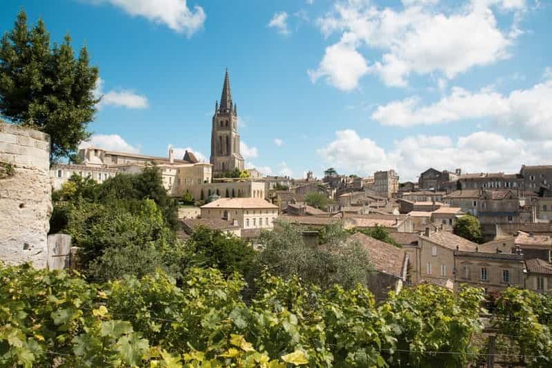 Billet Au départ de Bordeaux : visite privée des vignobles à Saint-Émilion