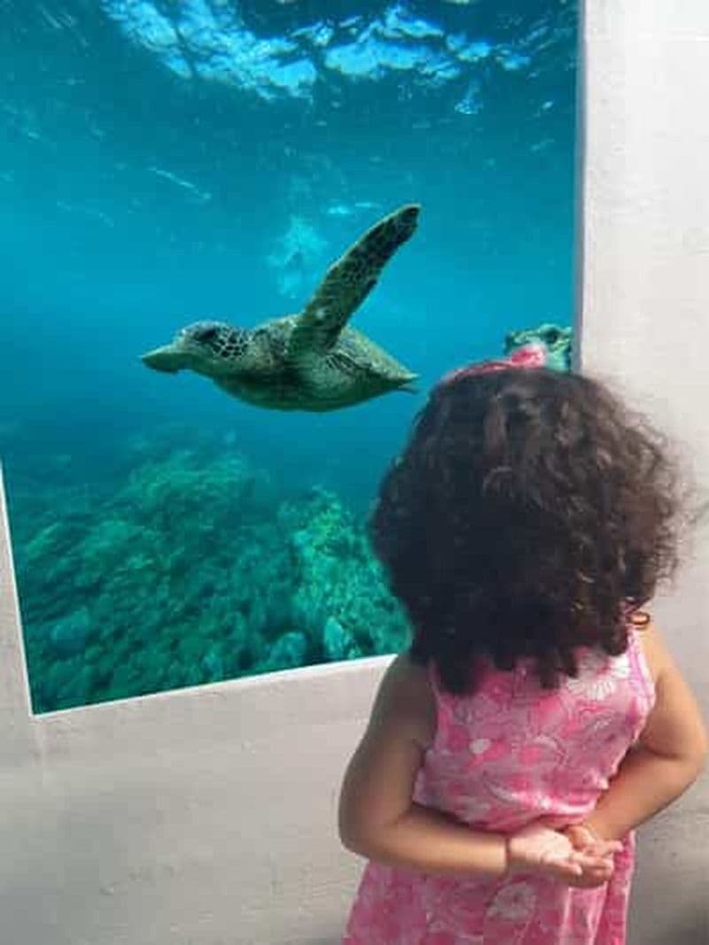 Billet Larnaca : mini-croisière Yellow Submarine avec arrêt baignade