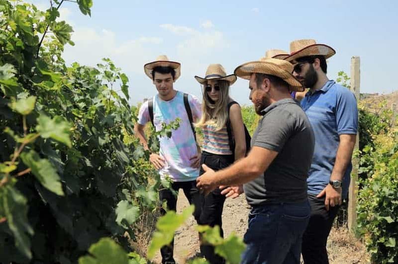 Billet Erevan : Excursion d'une journée à Khor Virap avec dégustation de vins du Mont Ararat