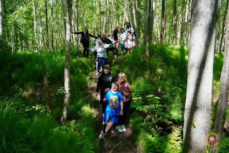 Billet Anchorage : Tour de ville en trolley de luxe