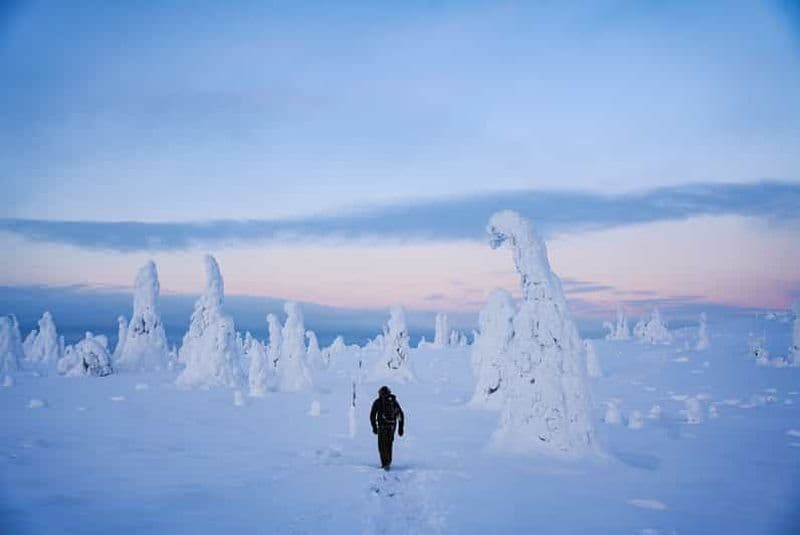 Billet Rovaniemi : excursion d'une journée dans le parc national de Riisitunturi avec déjeuner