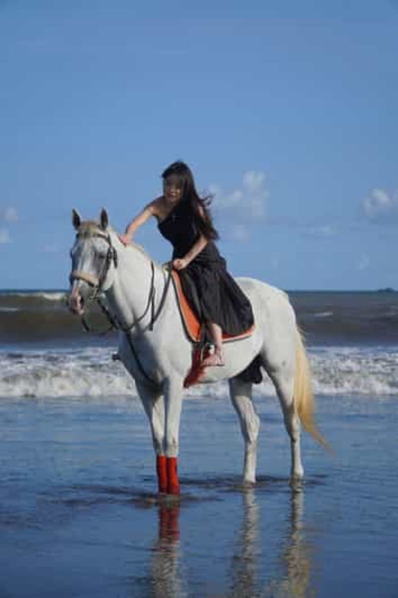 Billet Bali : Promenade à cheval sur la plage de Sanur, incluant le lever du soleil