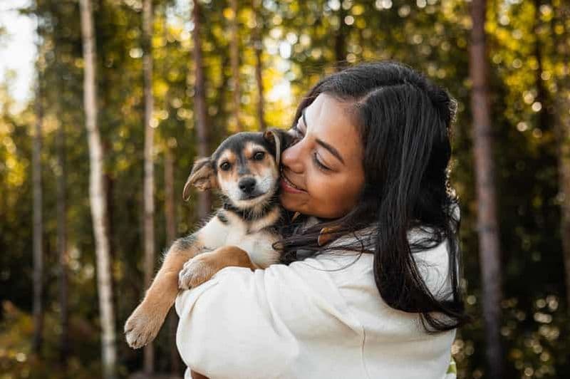 Billet Rovaniemi : Husky Safari on Wheels (safari sur roues)