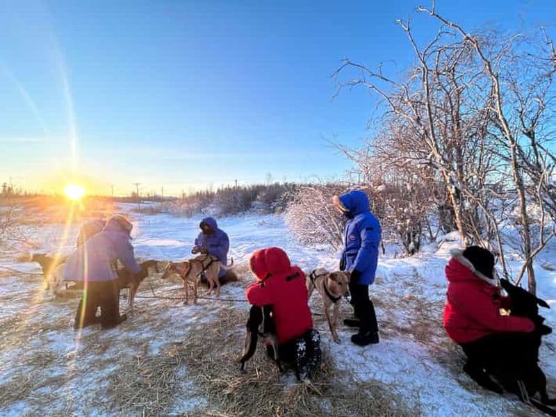 Billet Yellowknife : Expérience de traîneau à chiens autochtone