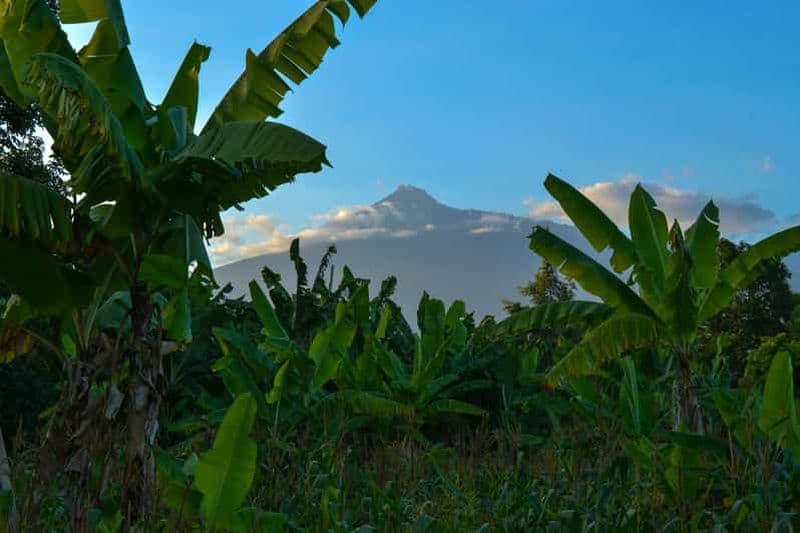 Billet 4 jours d'ascension du Mont Meru et d'observation de la faune et de la flore avec hébergement