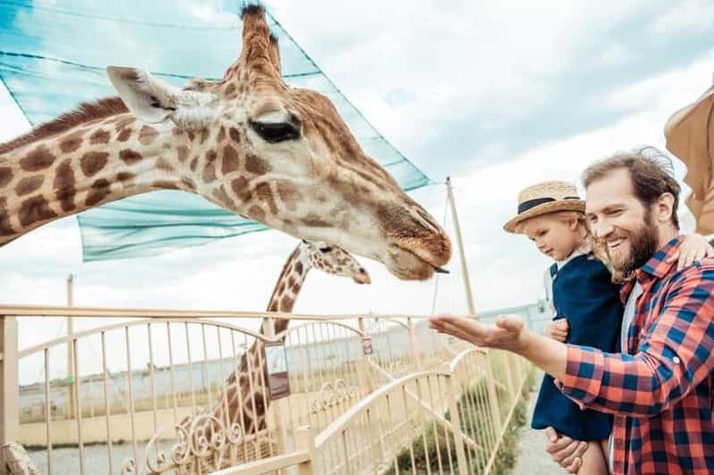 Depuis Cracovie : Excursion au zoo avec transfert privé de luxe