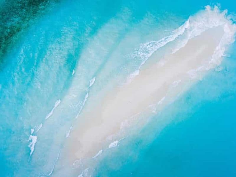 Billet Zanzibar : Visite privée de l'île de Mnemba, des singes et de la grotte de Kuza