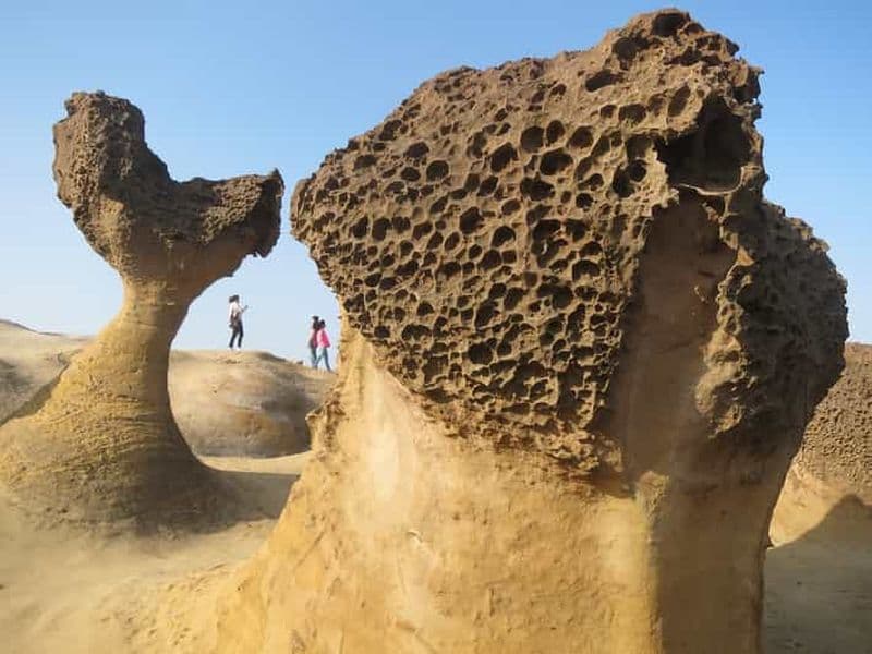 Billet Taipei : Visite touristique privée de la ville avec chauffeur