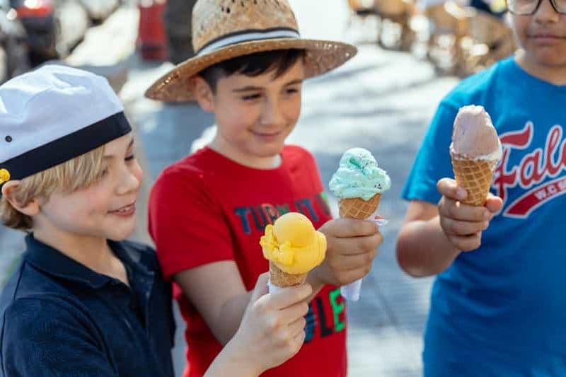 Billet Dubrovnik : Visite privée de la ville en famille avec guide