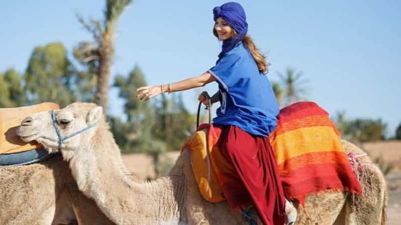 Billet Marrakech : balade à dos de chameau dans l'oasis de la Palmeraie